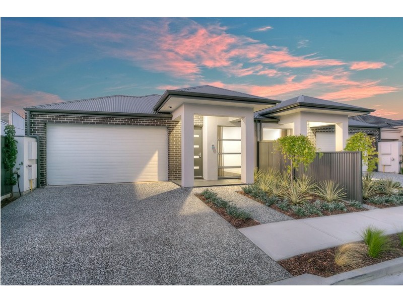 14 Belfast Street, Henley Beach SA 5022