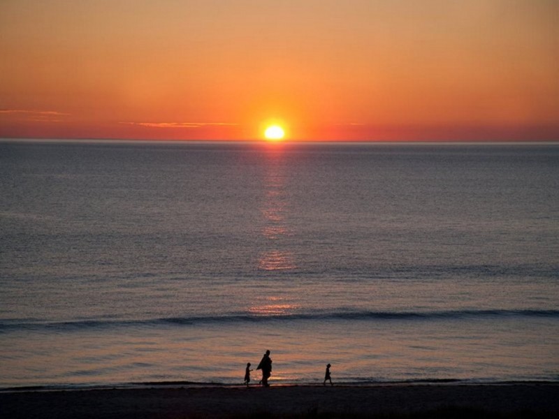 Lot 50, 12 Burnley Street, Henley Beach South SA 5022