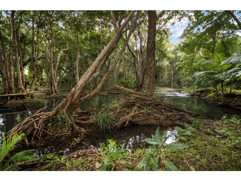 235 Mowbray River Road, Mowbray QLD 4877