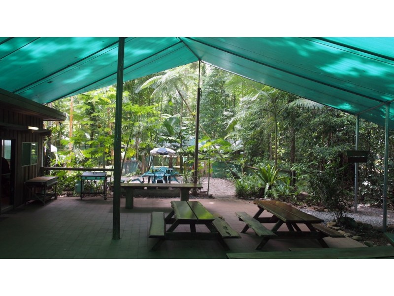 161 Buchanan Creek Road Cow Bay, Daintree QLD 4873
