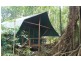 161 Buchanan Creek Road Cow Bay, Daintree QLD 4873