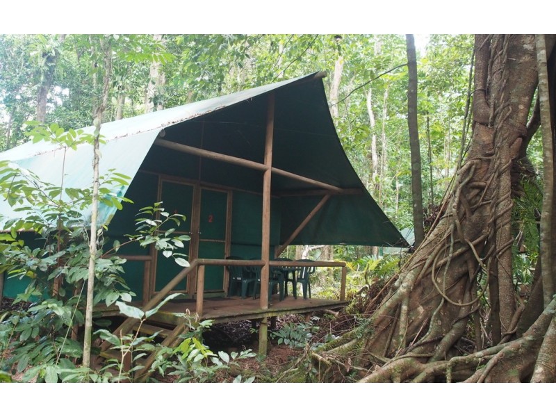 161 Buchanan Creek Road Cow Bay, Daintree QLD 4873