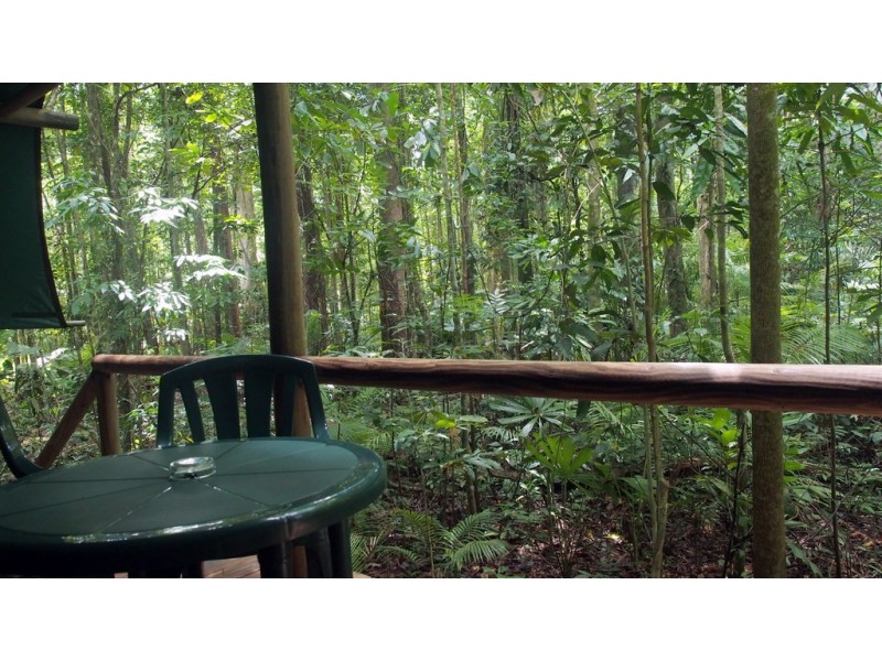 161 Buchanan Creek Road Cow Bay, Daintree QLD 4873