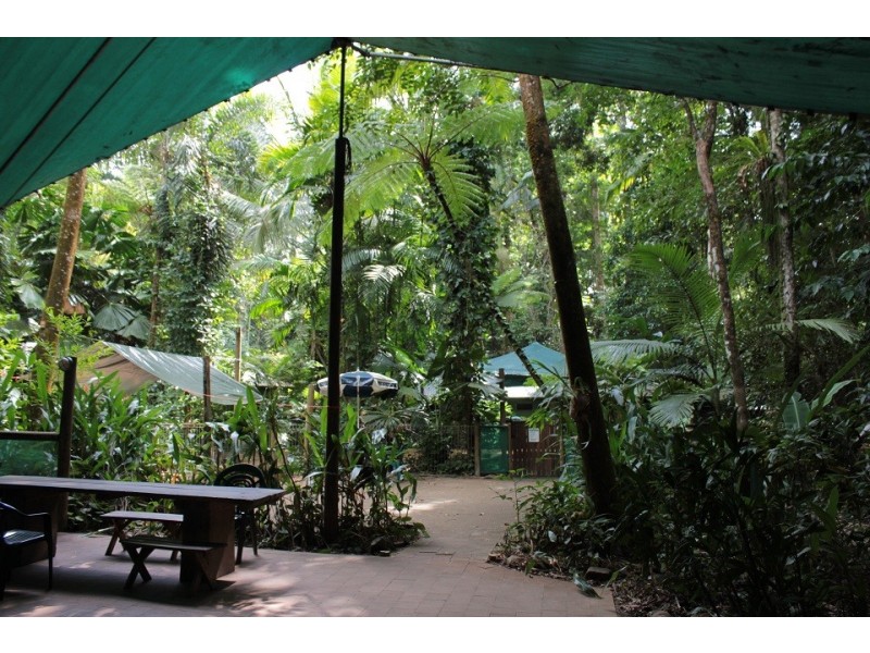 161 Buchanan Creek Road Cow Bay, Daintree QLD 4873