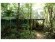 161 Buchanan Creek Road Cow Bay, Daintree QLD 4873