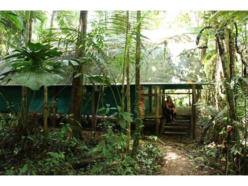 161 Buchanan Creek Road Cow Bay, Daintree QLD 4873