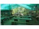161 Buchanan Creek Road Cow Bay, Daintree QLD 4873