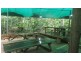 161 Buchanan Creek Road Cow Bay, Daintree QLD 4873