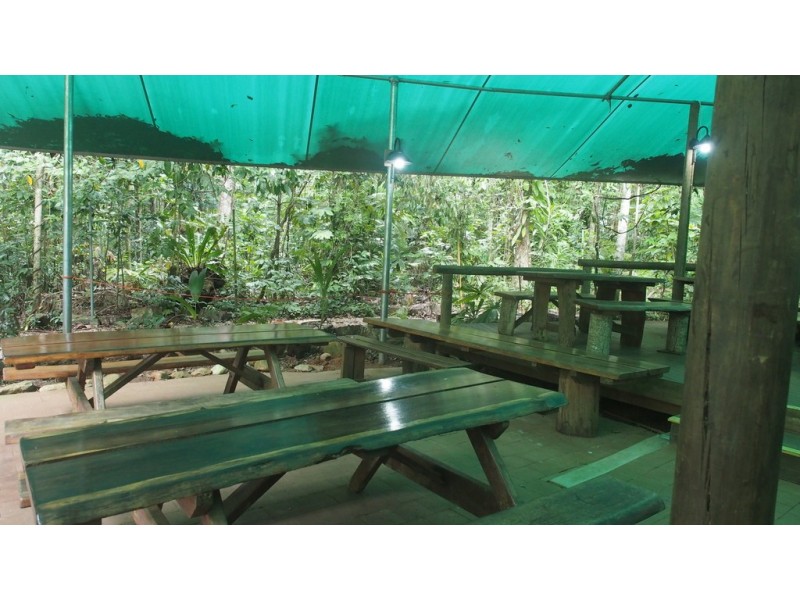 161 Buchanan Creek Road Cow Bay, Daintree QLD 4873