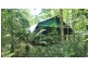 161 Buchanan Creek Road Cow Bay, Daintree QLD 4873