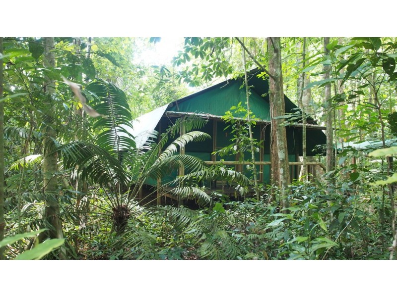 161 Buchanan Creek Road Cow Bay, Daintree QLD 4873
