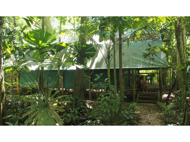 161 Buchanan Creek Road Cow Bay, Daintree QLD 4873