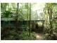 161 Buchanan Creek Road Cow Bay, Daintree QLD 4873