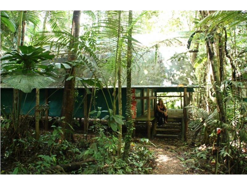161 Buchanan Creek Road Cow Bay, Daintree QLD 4873