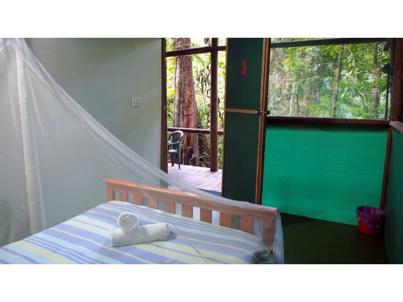 161 Buchanan Creek Road Cow Bay, Daintree QLD 4873