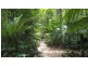 161 Buchanan Creek Road Cow Bay, Daintree QLD 4873