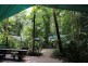 161 Buchanan Creek Road Cow Bay, Daintree QLD 4873