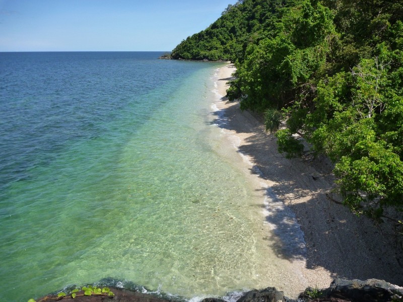 161 Buchanan Creek Road Cow Bay, Daintree QLD 4873