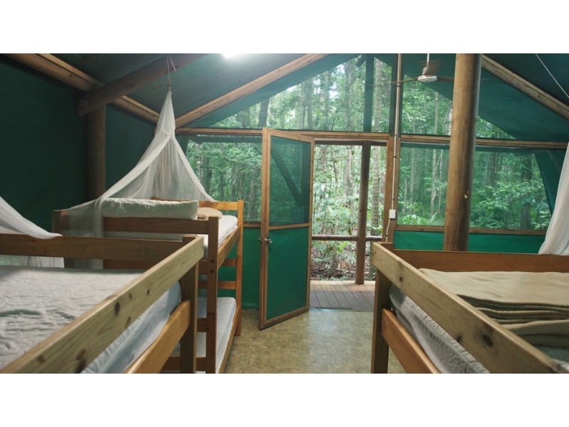 161 Buchanan Creek Road Cow Bay, Daintree QLD 4873