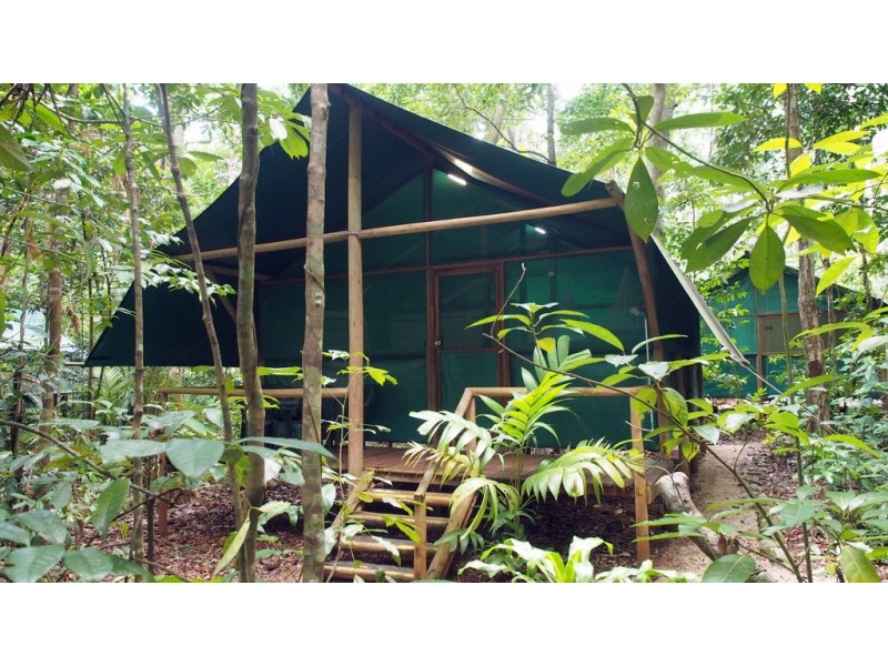 161 Buchanan Creek Road Cow Bay, Daintree QLD 4873