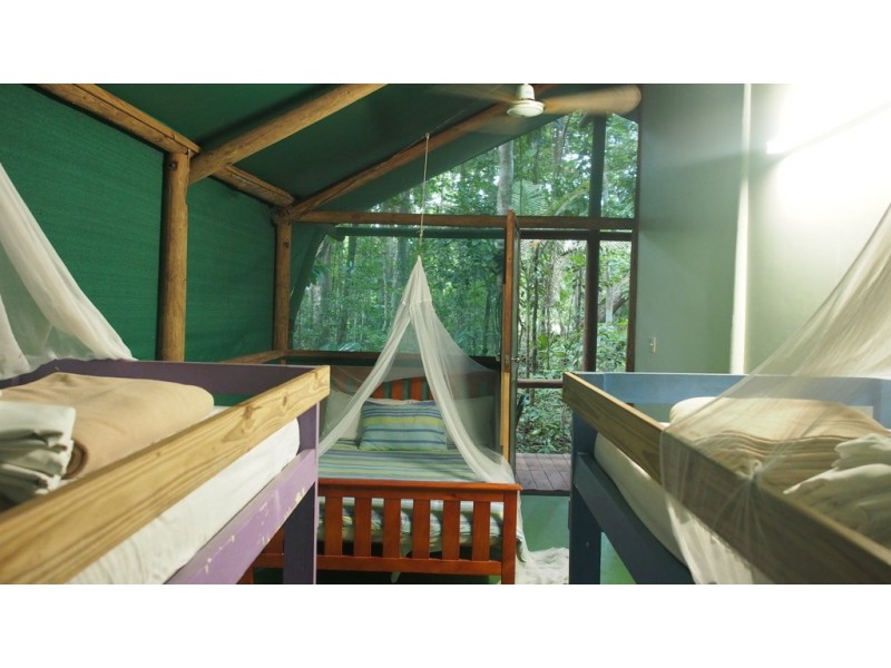 161 Buchanan Creek Road Cow Bay, Daintree QLD 4873