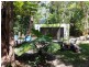 205 Cedar Road, Daintree QLD 4873