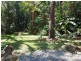 205 Cedar Road, Daintree QLD 4873