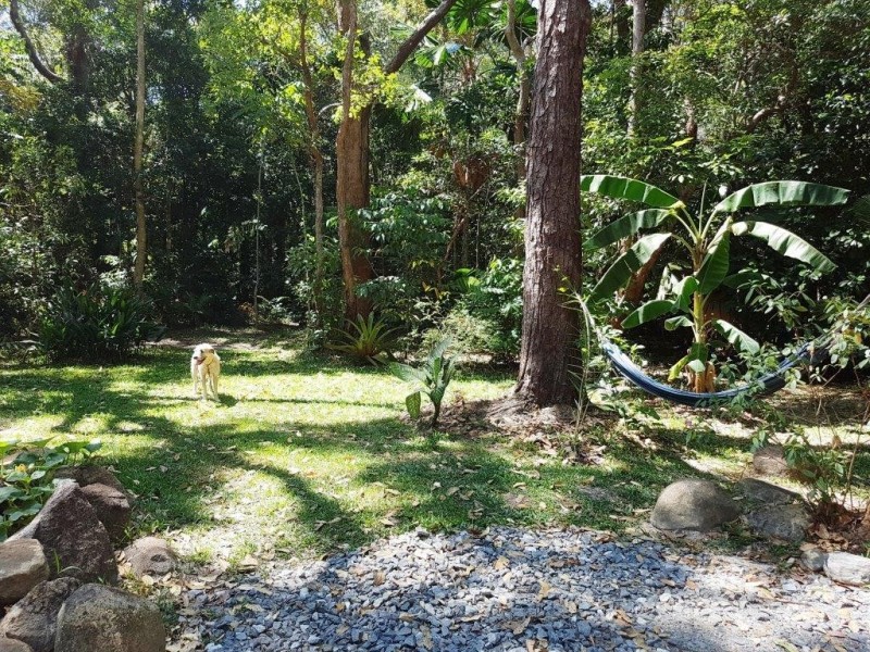 205 Cedar Road, Daintree QLD 4873
