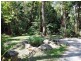 205 Cedar Road, Daintree QLD 4873