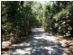 205 Cedar Road, Daintree QLD 4873