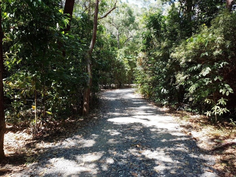 205 Cedar Road, Daintree QLD 4873