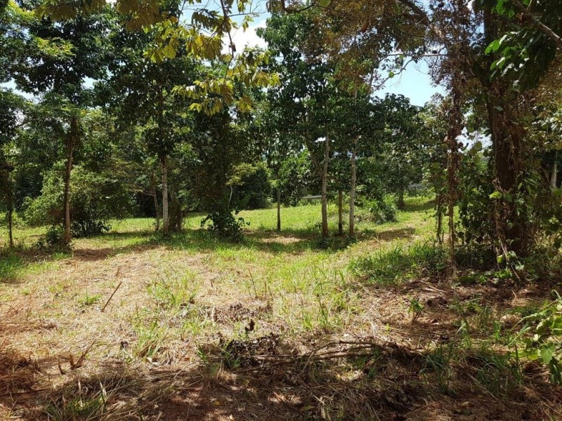 17 Ironbark Road Diwan, Daintree QLD 4873