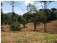 17 Ironbark Road Diwan, Daintree QLD 4873