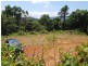 17 Ironbark Road Diwan, Daintree QLD 4873