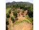 17 Ironbark Road Diwan, Daintree QLD 4873