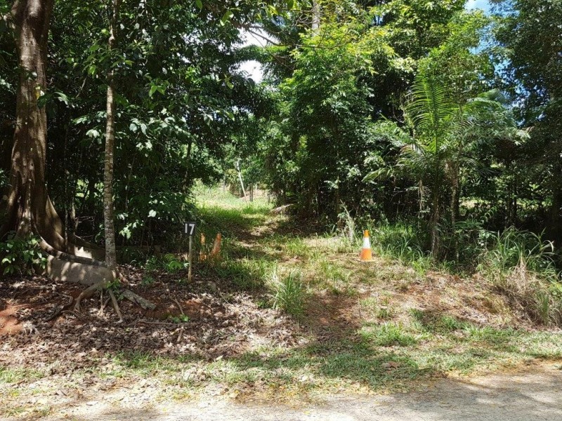 17 Ironbark Road Diwan, Daintree QLD 4873