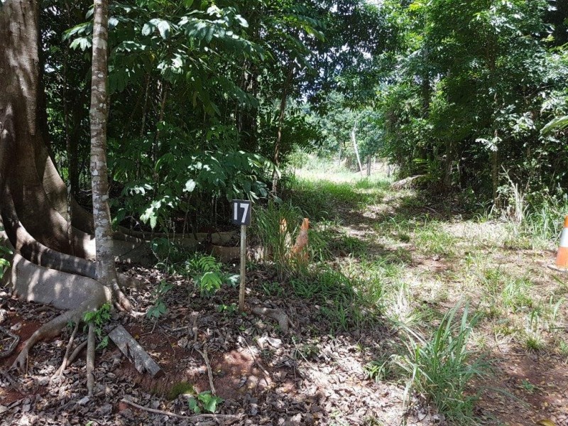 17 Ironbark Road Diwan, Daintree QLD 4873