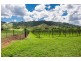 426 Douglas Creek Road (Stewart Creek Valley), Lower Daintree QLD 4873