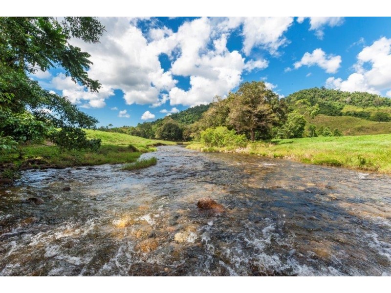 426 Douglas Creek Road (Stewart Creek Valley), Lower Daintree QLD 4873