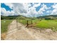 426 Douglas Creek Road (Stewart Creek Valley), Lower Daintree QLD 4873