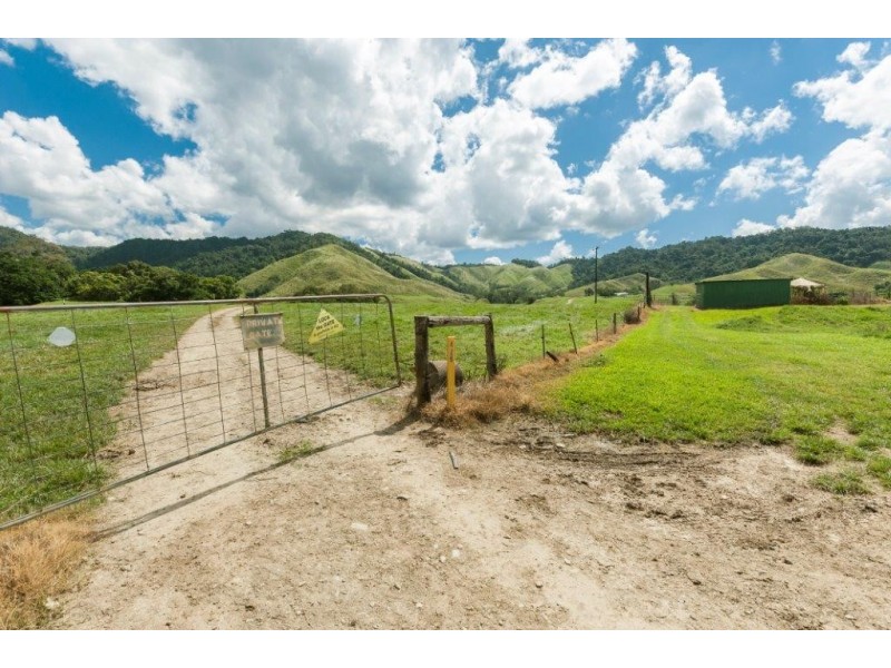 426 Douglas Creek Road (Stewart Creek Valley), Lower Daintree QLD 4873