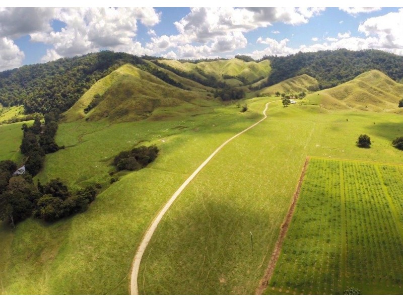 426 Douglas Creek Road (Stewart Creek Valley), Lower Daintree QLD 4873