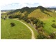 426 Douglas Creek Road (Stewart Creek Valley), Lower Daintree QLD 4873