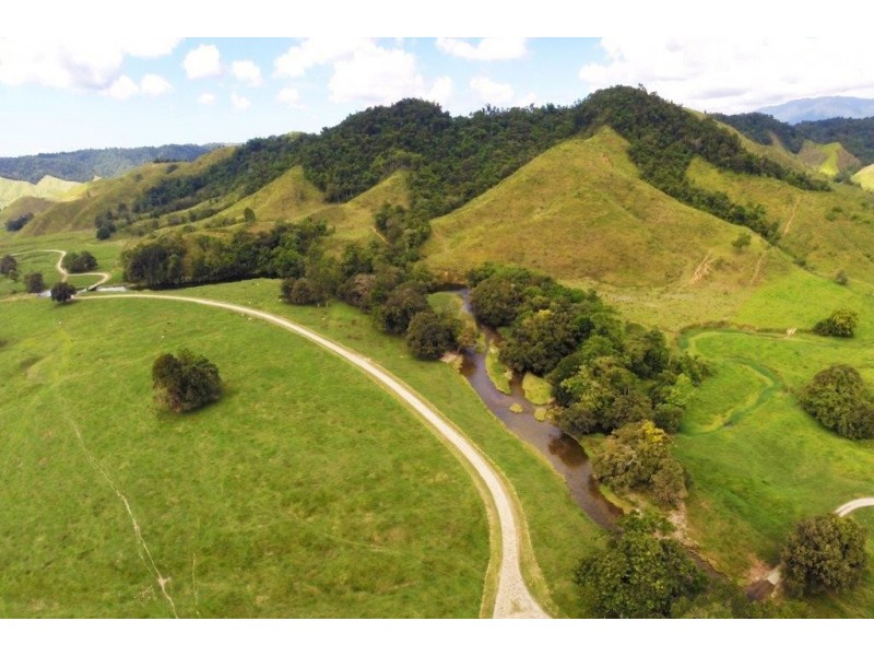 426 Douglas Creek Road (Stewart Creek Valley), Lower Daintree QLD 4873