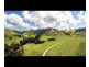 426 Douglas Creek Road (Stewart Creek Valley), Lower Daintree QLD 4873