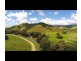 426 Douglas Creek Road (Stewart Creek Valley), Lower Daintree QLD 4873