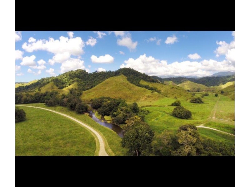 426 Douglas Creek Road (Stewart Creek Valley), Lower Daintree QLD 4873