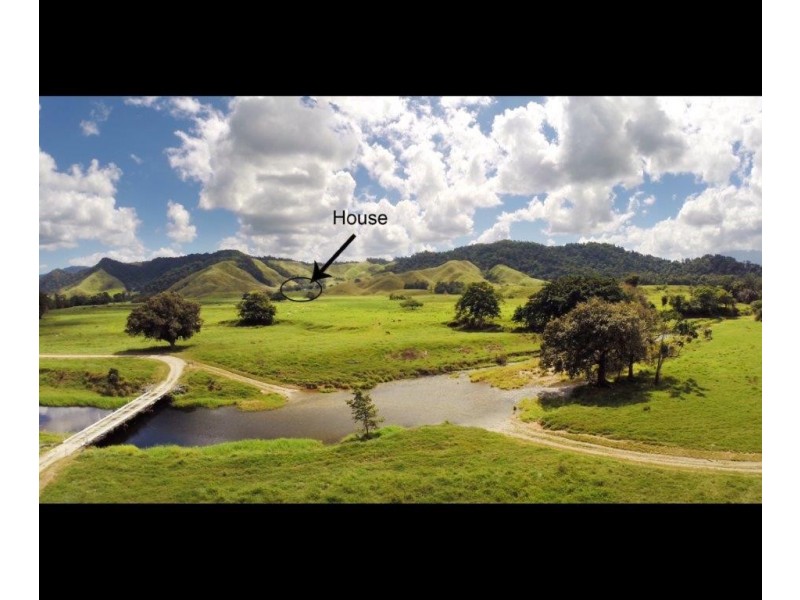 426 Douglas Creek Road (Stewart Creek Valley), Lower Daintree QLD 4873