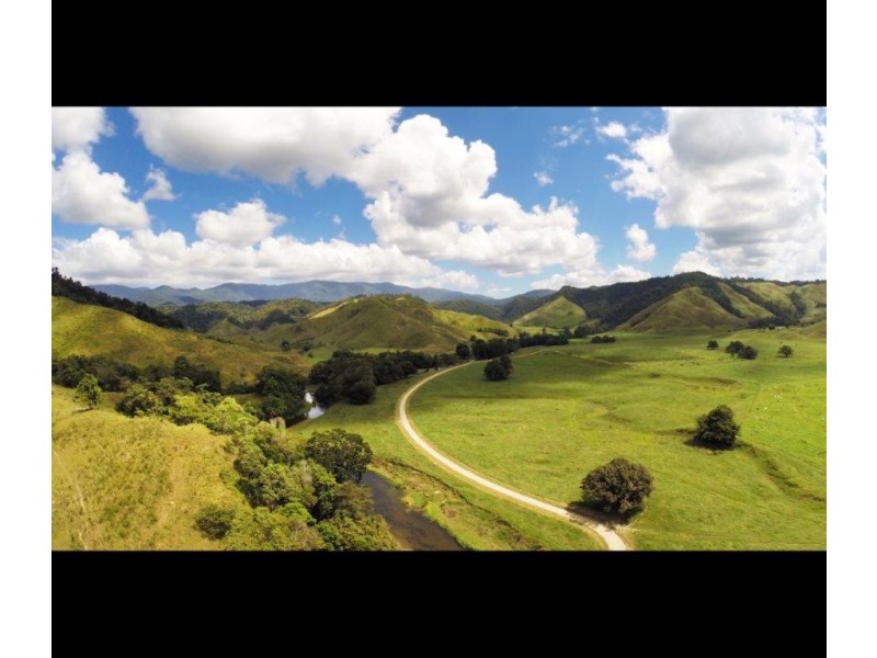 426 Douglas Creek Road (Stewart Creek Valley), Lower Daintree QLD 4873