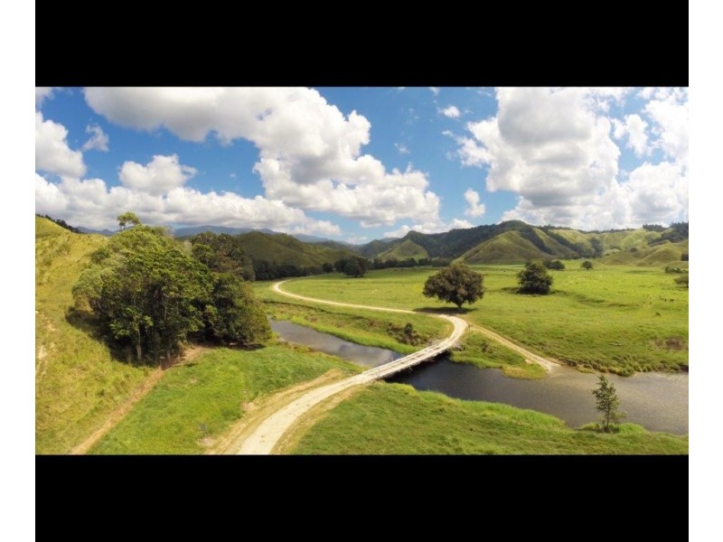 426 Douglas Creek Road (Stewart Creek Valley), Lower Daintree QLD 4873